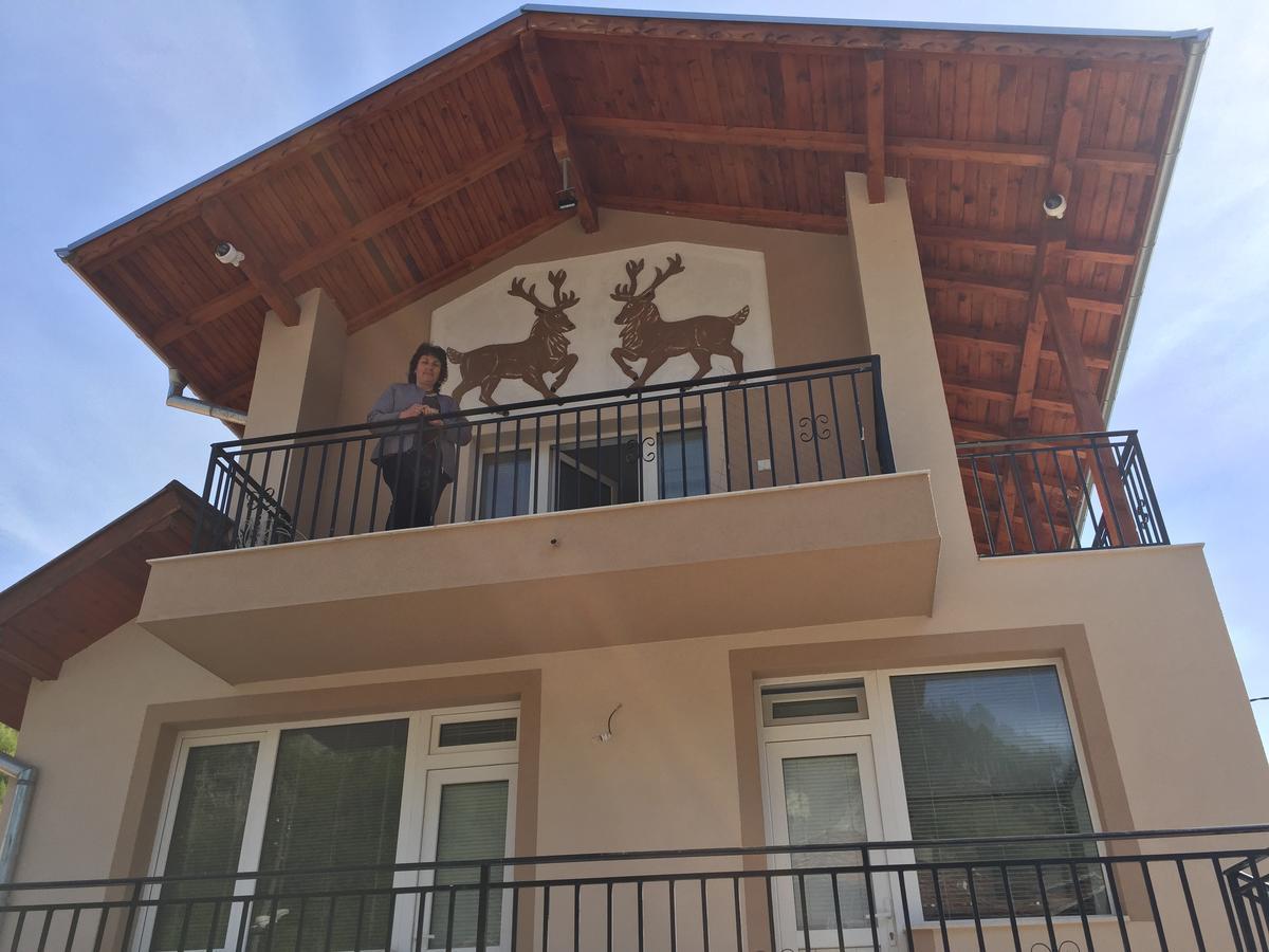Elenite Guesthouse Goce Delcsev Kültér fotó