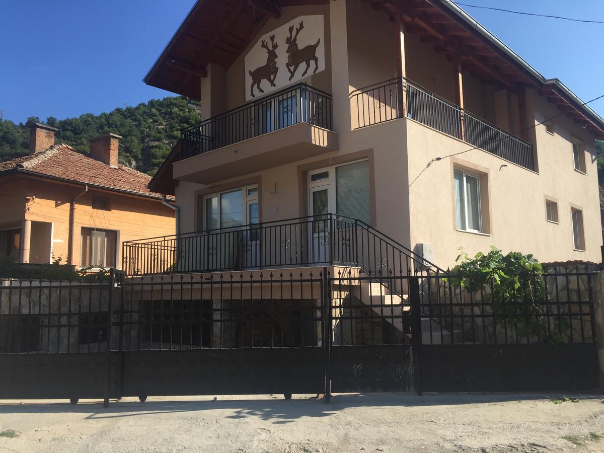 Elenite Guesthouse Goce Delcsev Kültér fotó
